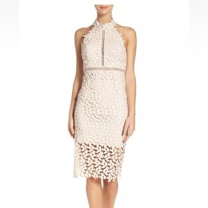 Bardot Blush Lace Halter Midi Dress
